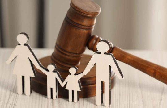 опекунство2